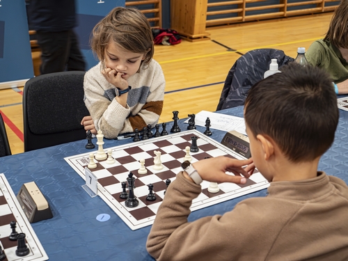 Fuld koncentration og skoleskak