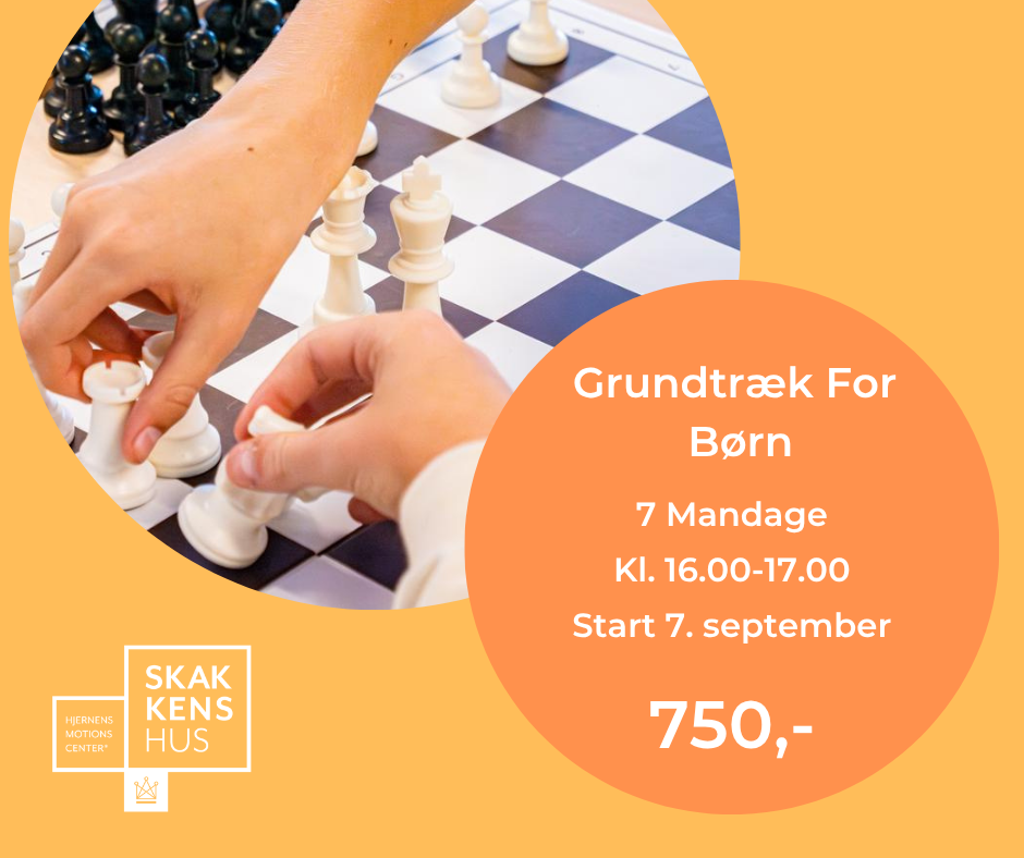 Grundtræk for børn