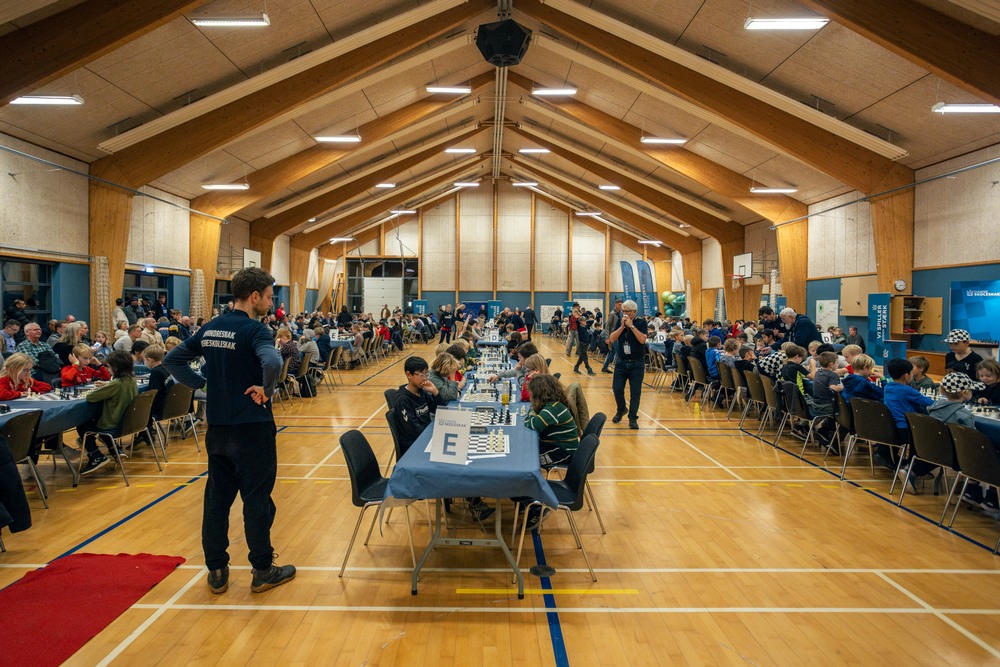 28-11-25 DM Skoleskak (web)-22